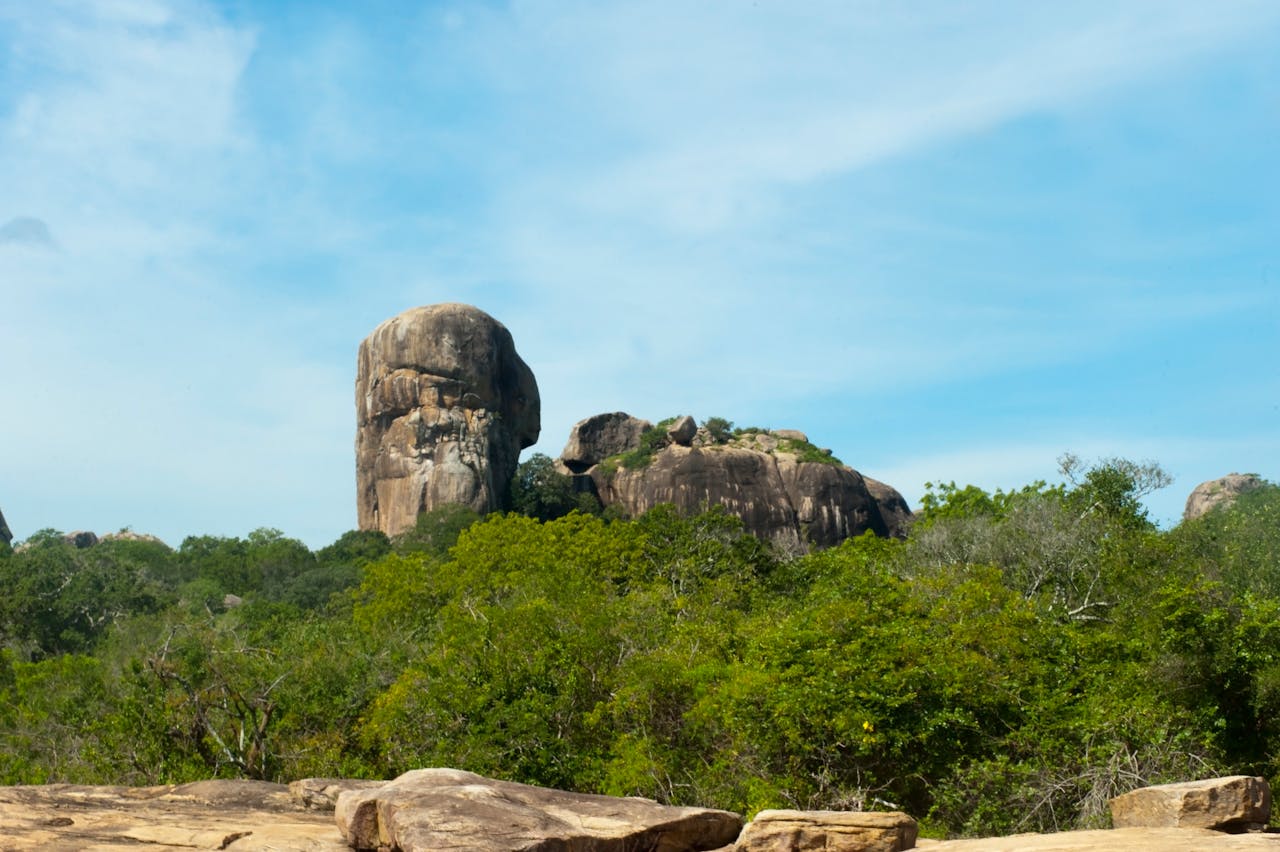 Yala National Park landscape
