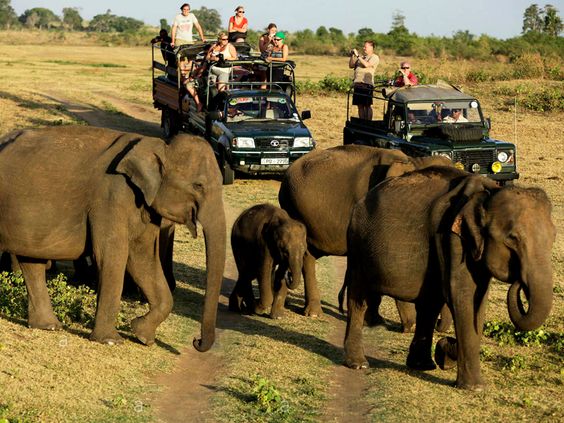 Expert guide with tourists
