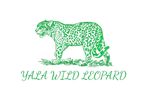 Yala Wild Leopard