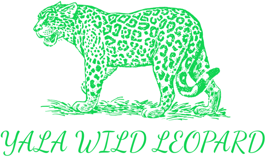 yalawildleopard